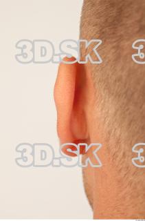 Ear texture of Bystrik 0003